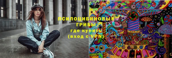 ПСИЛОЦИБИНОВЫЕ ГРИБЫ Богородицк