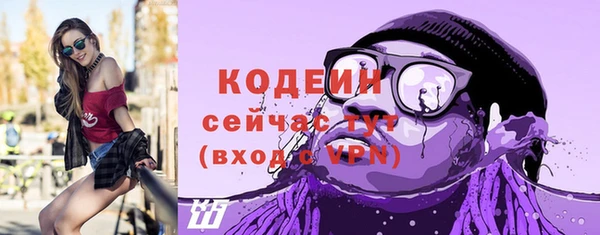 гашик Богородск