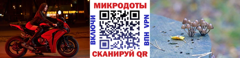 Псилоцибиновые грибы MAGIC MUSHROOMS  купить наркоту  Солигалич 